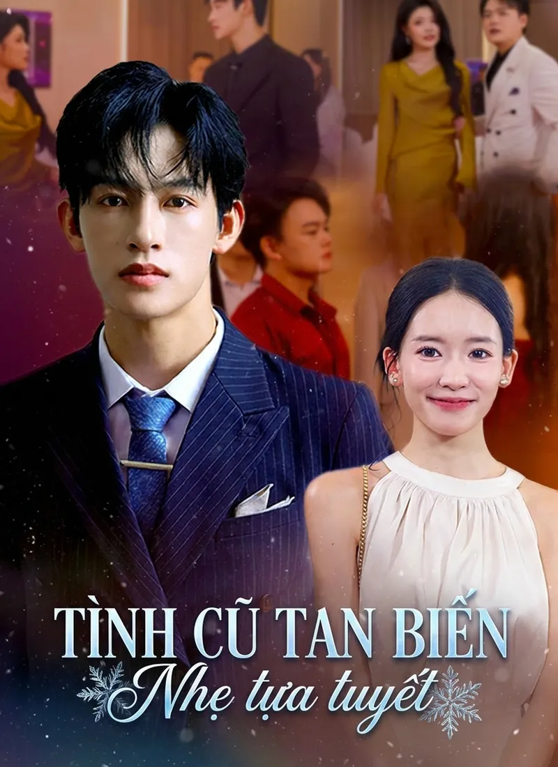 Ảnh bìa Tình Cũ Tan Biến Nhẹ Tựa Tuyết