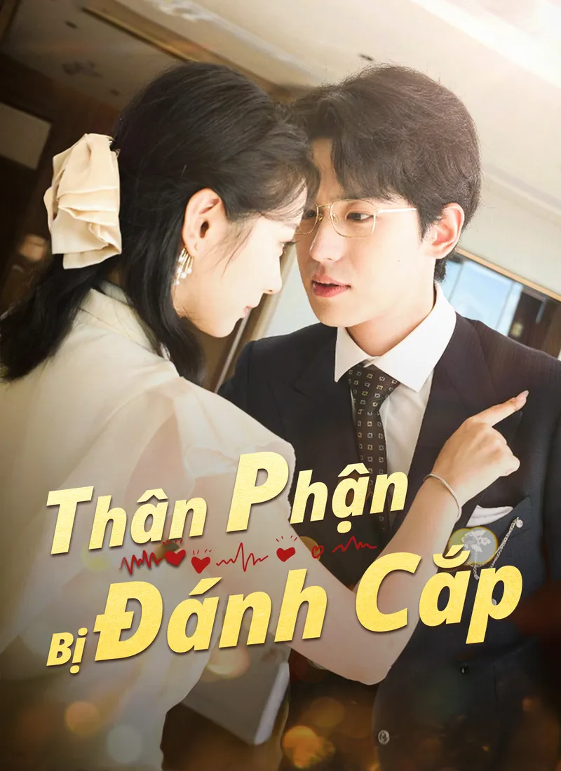 Ảnh bìa Thân Phận Bị Đánh Cắp