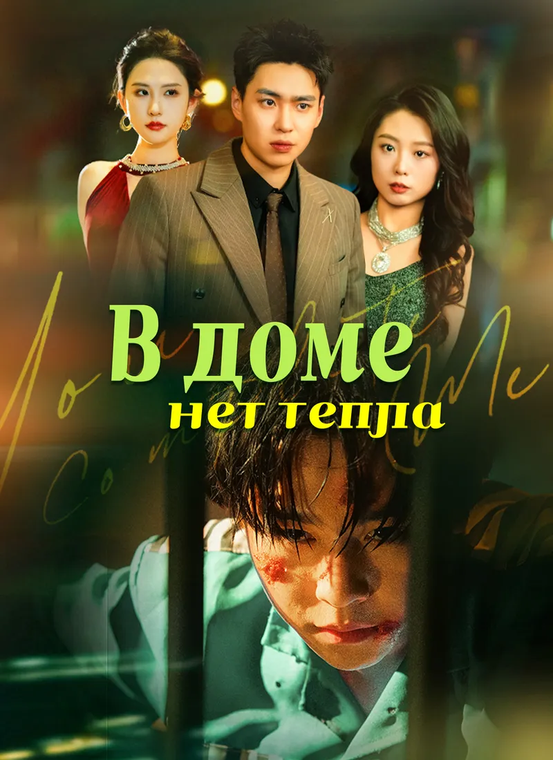 Обложка «В доме нет тепла»