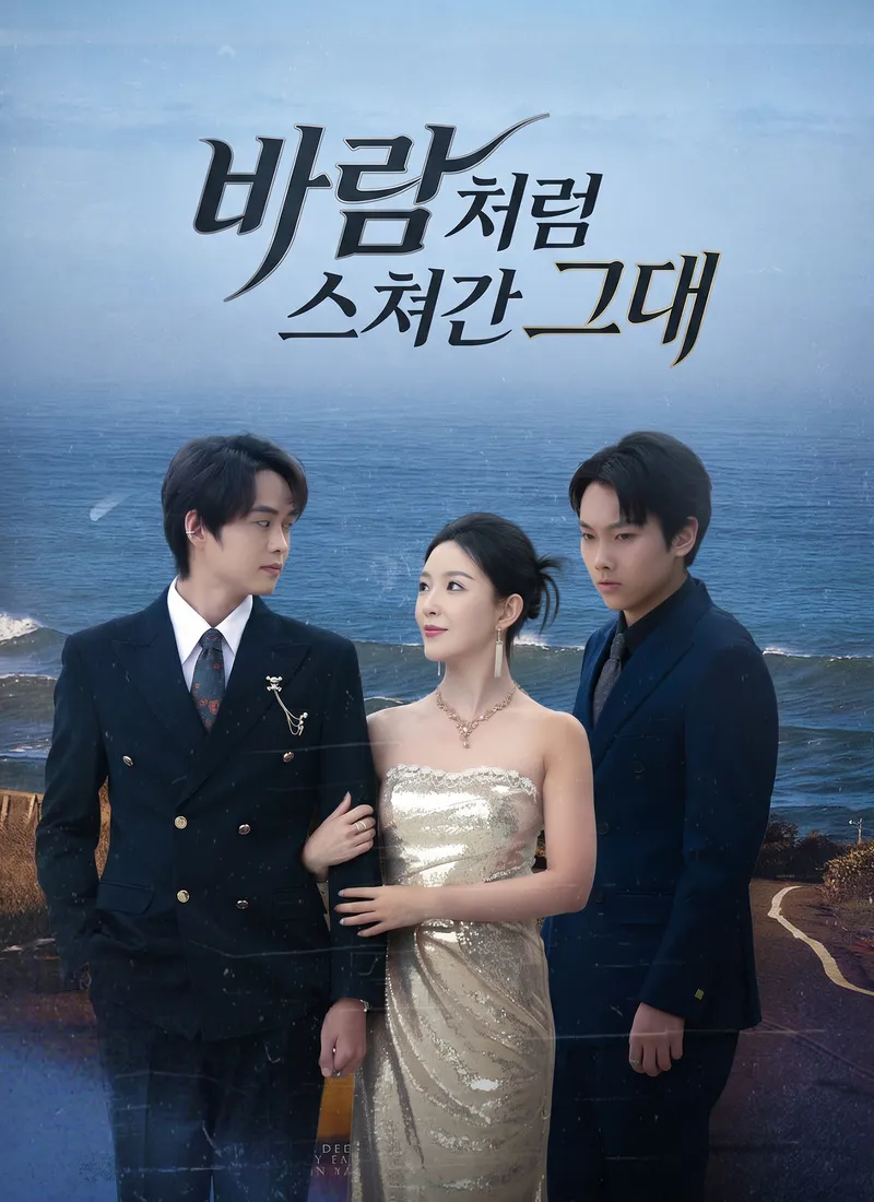 바람처럼 스쳐간 그대 표지
