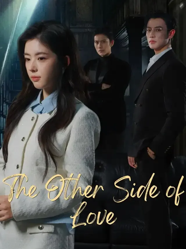 The Other Side of Love cover