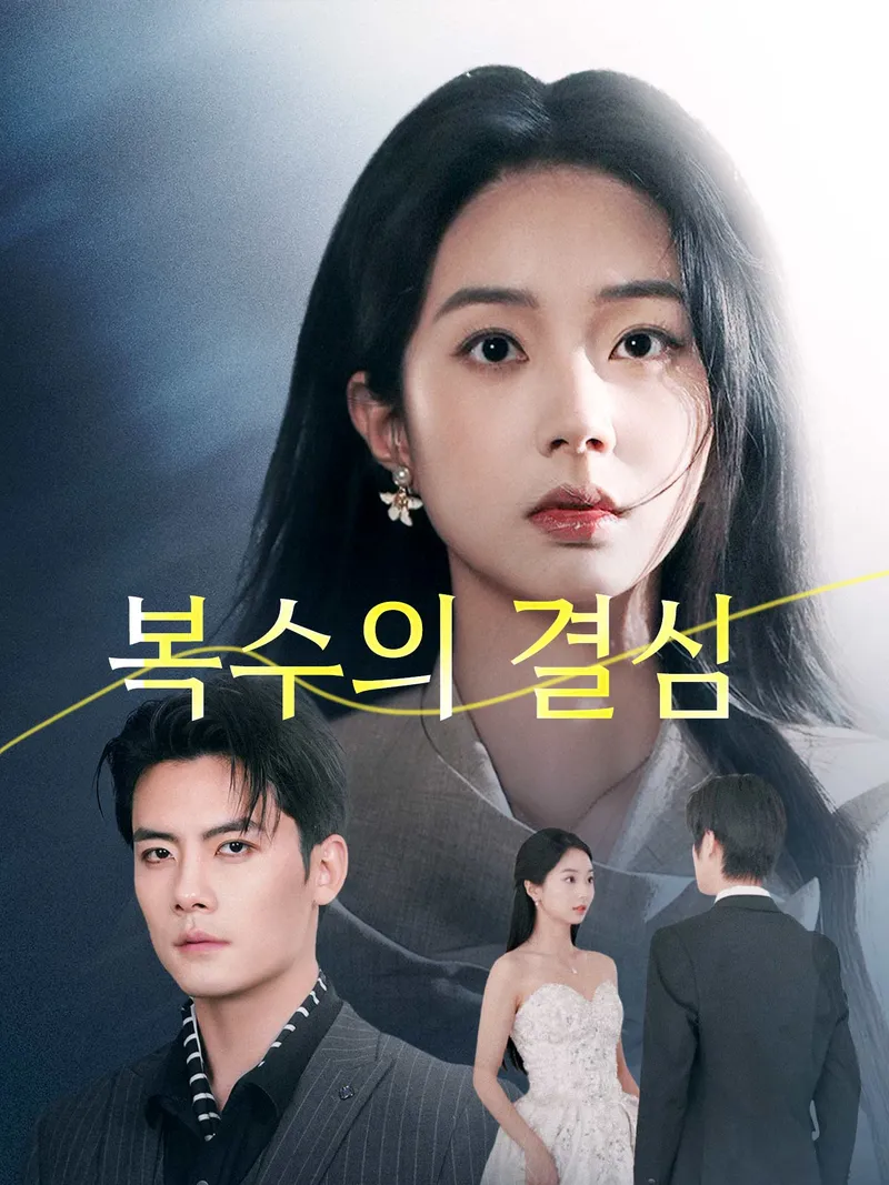 복수의 결심 표지
