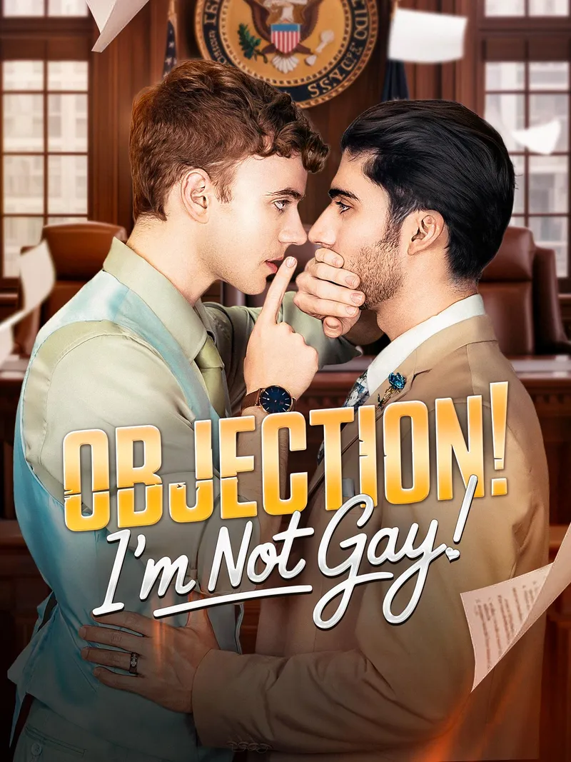 Objection I'm not Gay cover
