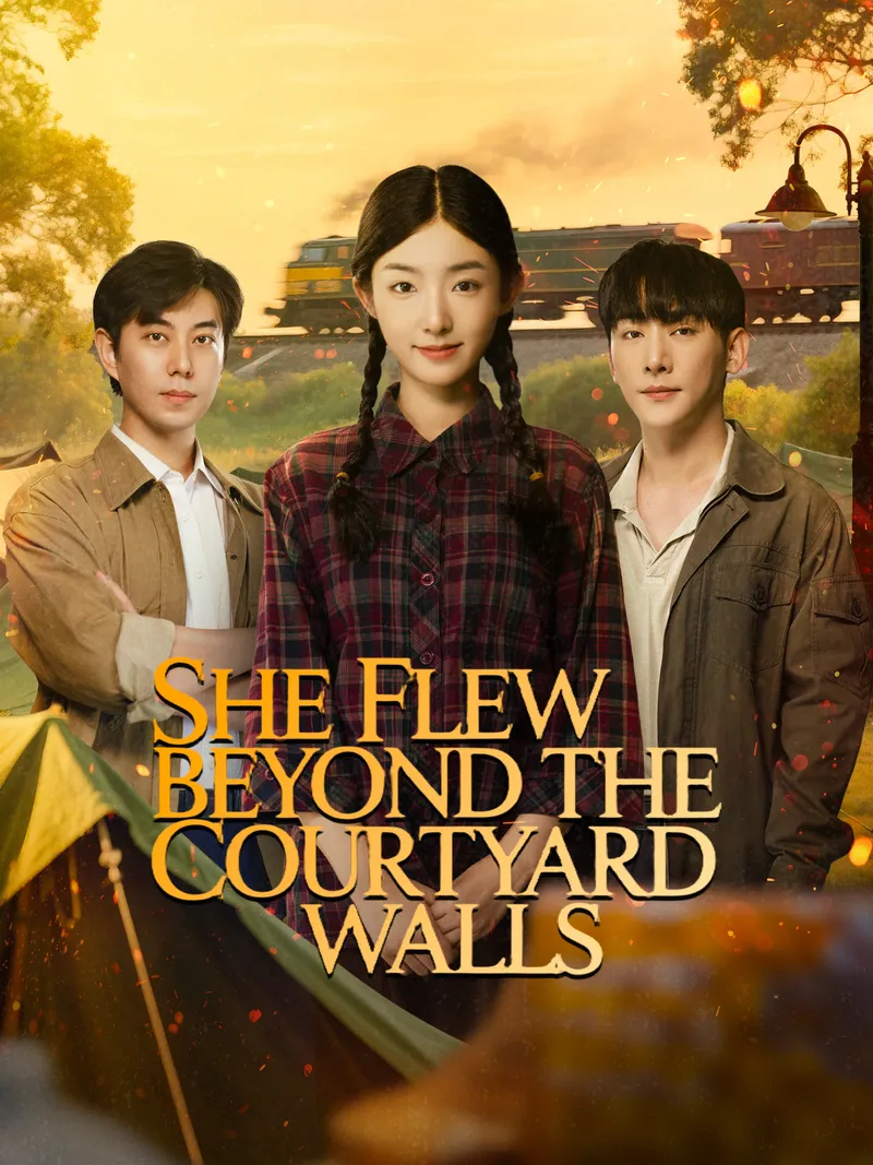 She Flew Beyond the Courtyard Walls cover