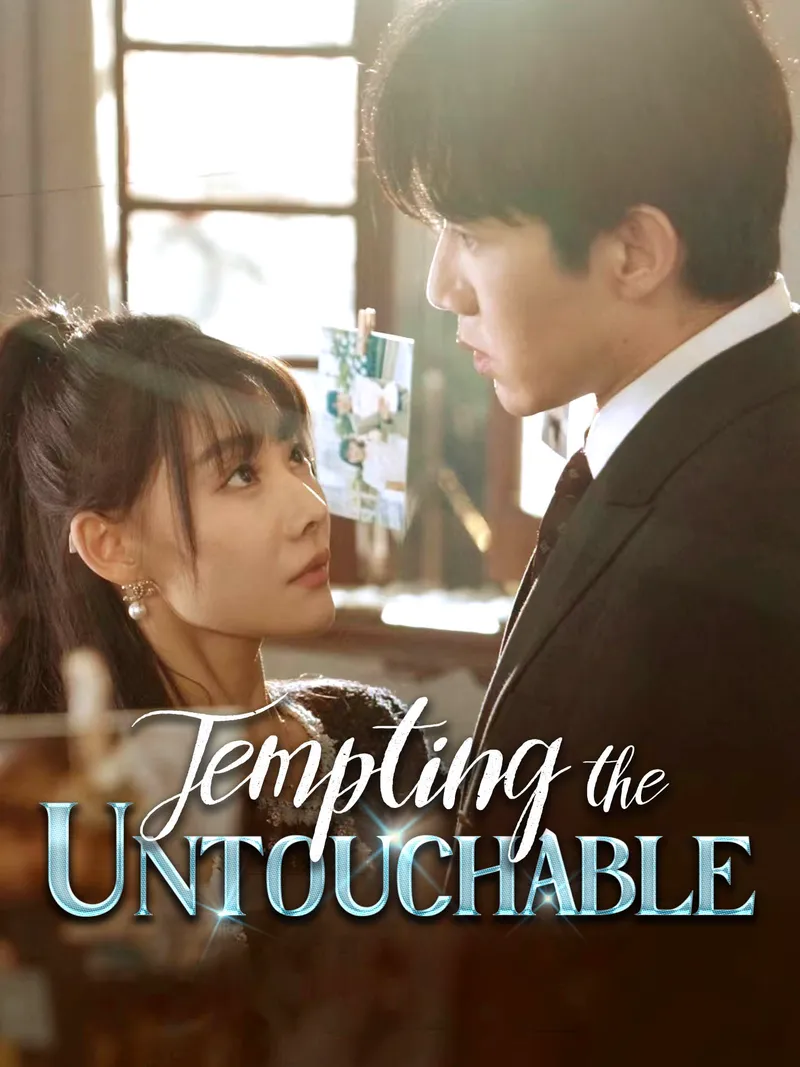 Tempting the Untouchable cover